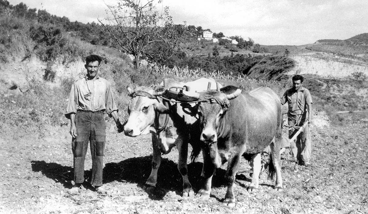 Can Bundancia l'any 1935