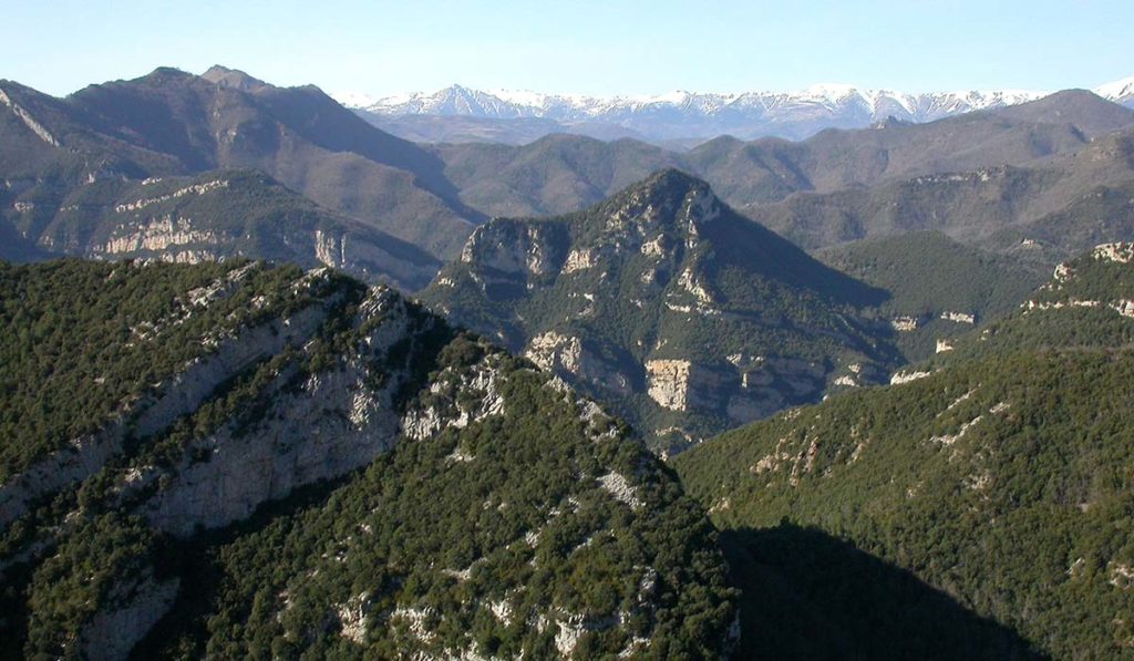 El Martanyà