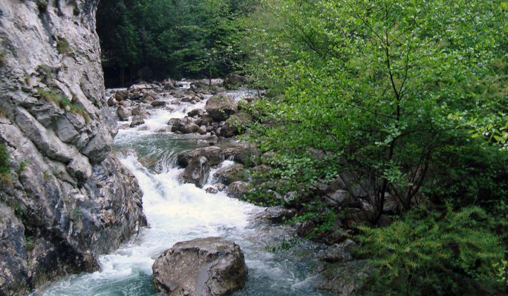 Riera de Sant Aniol d'Aguja