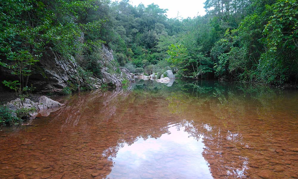 Reserva natural de la Muga de l'Alta Garrotxa